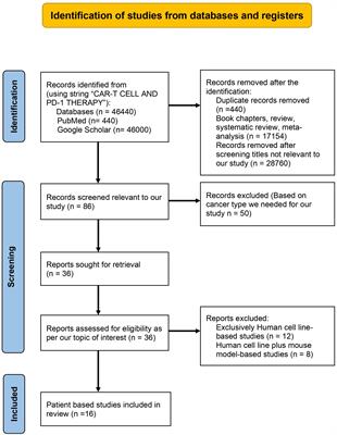 The synergistic immunotherapeutic impact of engineered CAR-T cells with PD-1 blockade in lymphomas and solid tumors: a systematic review